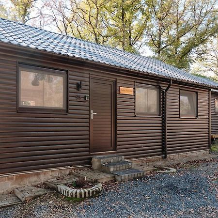 Chalet D'Un Ami Somme-Leuze Exteriér fotografie